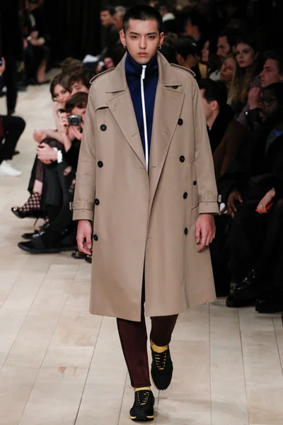 Look 31